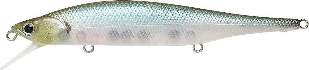 GHOST MINNOW