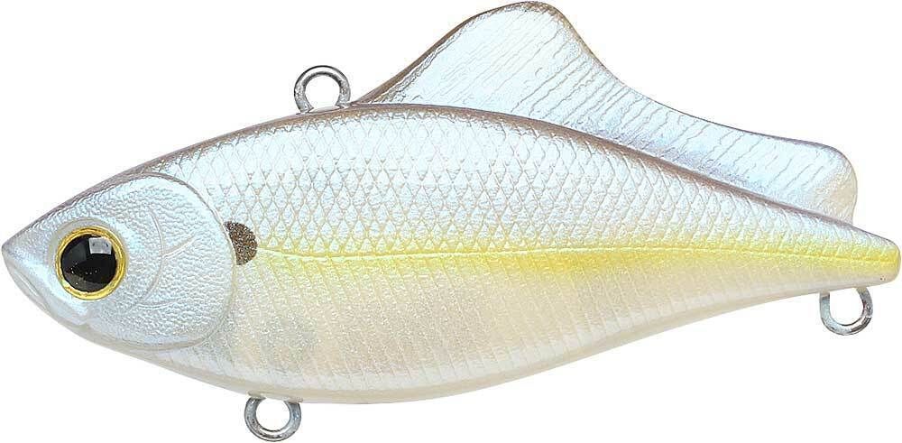 CHARTREUSE SHAD