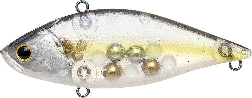 GHOST CHARTREUSE SHAD