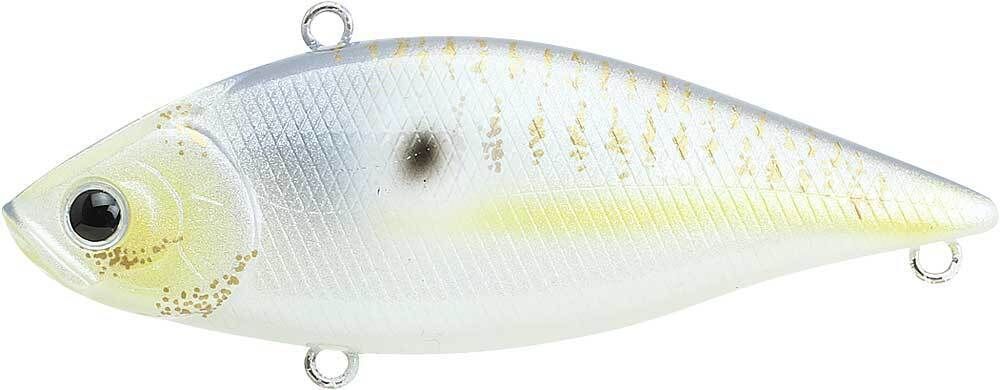 GOLD THREADFIN SHAD