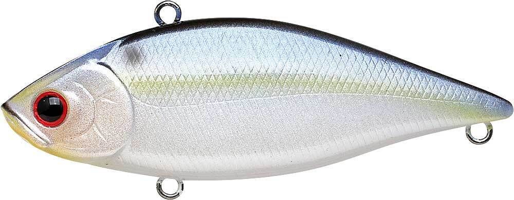PEARL THREADFIN SHAD