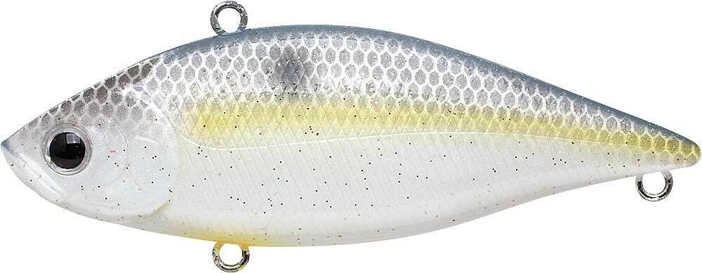 SEXY CHARTREUSE SHAD
