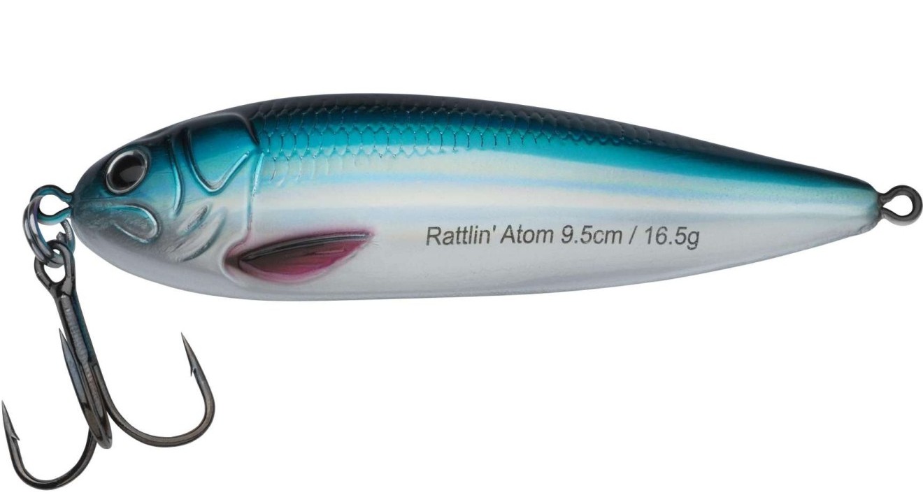 Baltic Herring