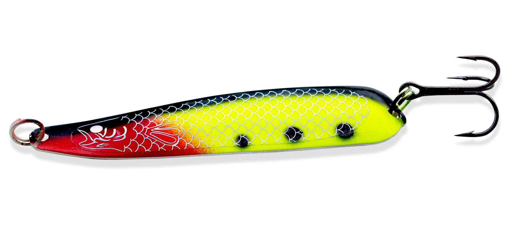 CLWLP