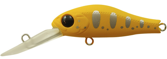 155