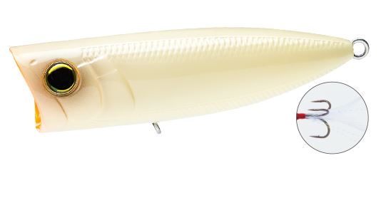 BN