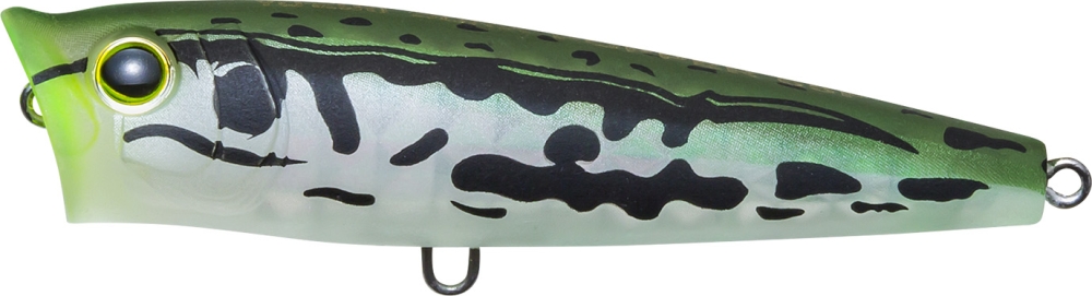 MGSF