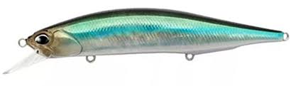 CAA4005