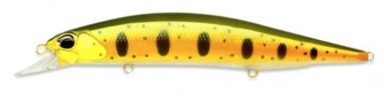 ANI4004