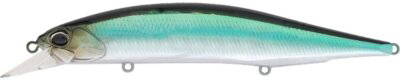 CAA4005