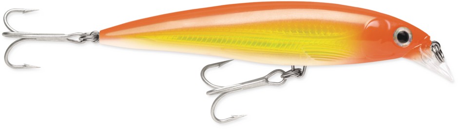 RAPALA X-RAP SALTWATER 10 CM 13 G HH