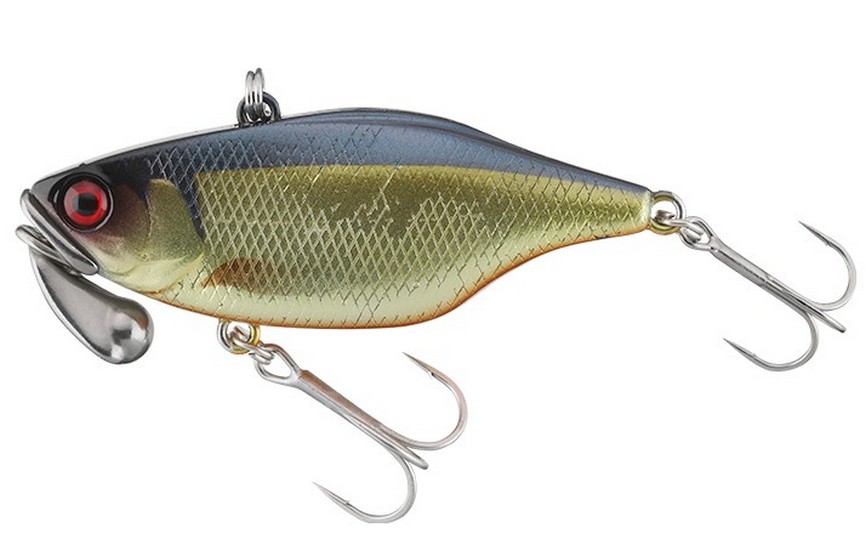 Champagne Gold Shad